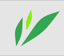 Геоторф