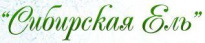 Сибирская Ель