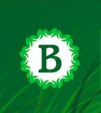 СФ Виктория