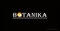 Институт напитков