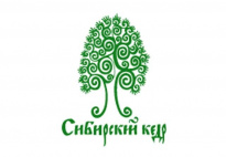 Сибирский кедр