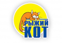Рыжий кот