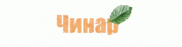 Компания Чинар