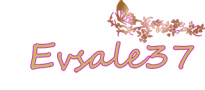 Evsale37