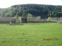 Частная пасека