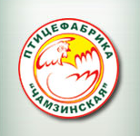 Чамзинская