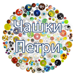 Петропласт