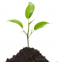 Биогумус Крым