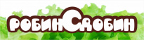 Робин Сдобин