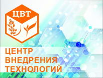 Центр Внедрения Технологий