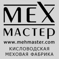 Мех-Мастер