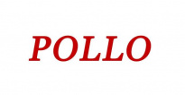 Babypollo