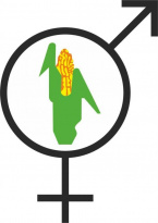 НПО Кос-Маис