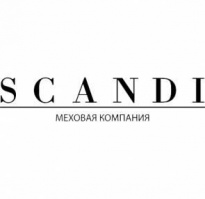 Сканди