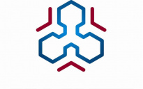 ВладСинтез