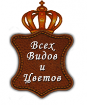 Старый кожевенник