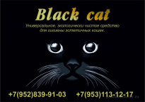 Парус Black cat