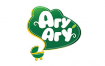 Теледиск-Холдинг