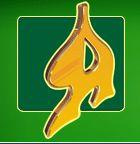 Ярославский антисептик