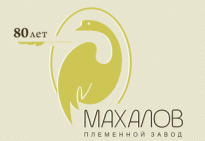 Племенной завод Махалов