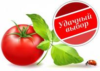 Удачный Выбор