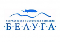 Белуга