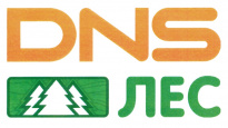 DNS Лес