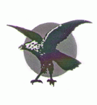 Сокольский целлюлозно-бумажный комбинат (СЦБК)