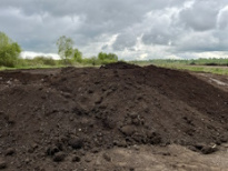 Плодородие