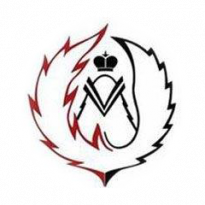 Научно-производственное объединение Феникс