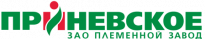 Племенной завод Приневское