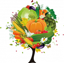 Корпорация Семи Звезд