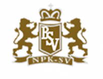 БСВ-ГРУПП (БСВ)