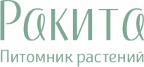Ракита