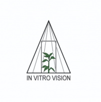 Инвитро Вижн