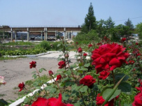 Артемовский завод ЖБИ