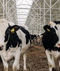 Агрохолдинг "СТЕПЬ"