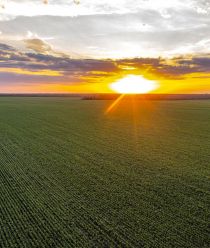 Агрохолдинг "СТЕПЬ"