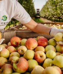 Агрохолдинг "СТЕПЬ"