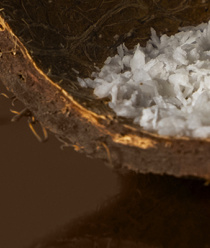 Унитрон Пром