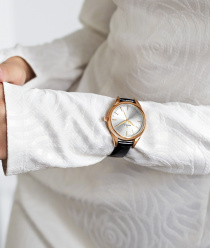 Часовой завод Ника