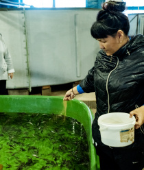 ОнегоКомпозит