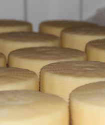 Султановская сыроварня