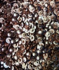 ИП Волоцкий Н.Л.