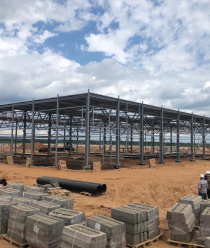 Черный муравей