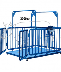 Невские весы