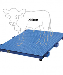 Невские весы