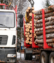 Нагорская Лесная Компания