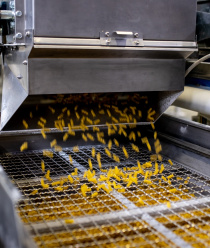 Кубанский комбинат хлебопродуктов