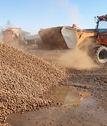 Завод керамзитового гравия